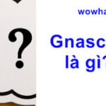 Gnasche là gì? Đúng nhất nhé