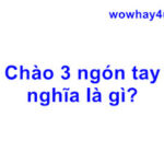 Chào 3 ngón tay nghĩa là gì? Đọc ngay để biết