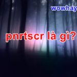 pnrtscr là gì? Yếu tim đừng vào nhé!