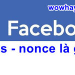 ls-nonce trên facebook là gì? Đọc ngay nhé