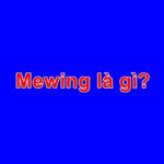 Mewing là gì? Mọi thứ về Mewing nhất định bạn chưa biết
