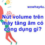 Nút volume trên máy tăng âm có công dụng gì? Đúng nhất