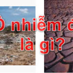 Ô nhiễm đất là gì? Mọi điều cần biết nhất về ô nhiễm đất