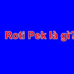 Roti pek là gì? Câu trả lời đúng nhất bạn đang tìm kiếm