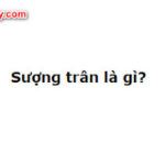 Sượng trân là gì? Câu trả lời chính xác nhất đây rồi