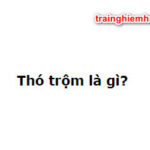 Thó trộm là gì? Đúng nhất nè!