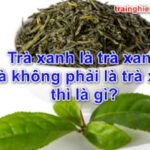 Trà xanh là gì mà ‘cô gái trà xanh’ có đặc điểm gì đáng sợ đến vậy?