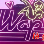Wap là gì? Ý nghĩa của wap trên TikTok bạn chưa biết