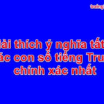 58, 1314, 5201314 là gì? Giải thích ý nghĩa các con số tiếng Trung Quốc chính xác nhất