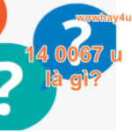 14 0067 u là gì? Ý nghĩa đặc biệt 14 0067 u