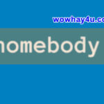 Homebody là gì? Điều đặc biệt về Homebody chưa ai biết