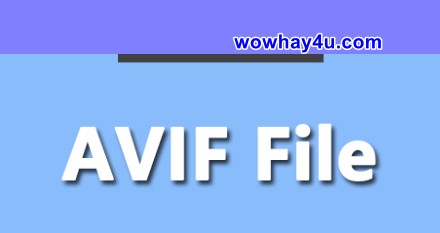 Tệp AVIF là gì? Cách mở tệp AVIF thế nào?