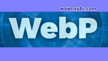 Tệp WEBP là gì? Đọc ngay