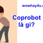Coprobot là gì? Không dành cho ai yếu tim đọc