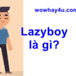 Lazyboy là gì? Ý nghĩa đặc biệt Lazy boy chưa ai biết