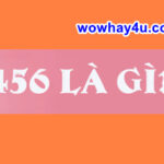 0456 nghĩa là gì? Những giải thích trước sai hết nhé