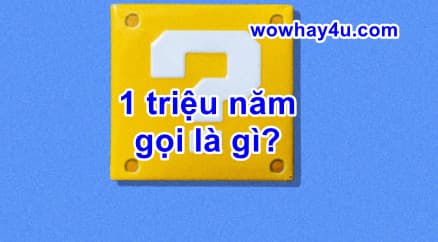1 triệu năm gọi là gì? Đúng nhất
