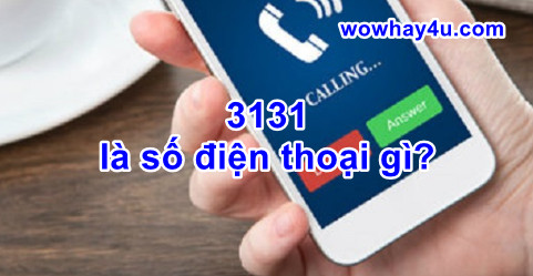 3131 là số điện thoại gì? Cách nhanh nhất biết danh tính số 3131