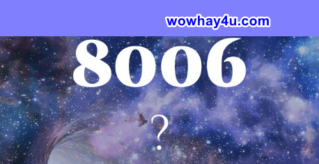 8006 nghĩa là gì? Đúng nhất
