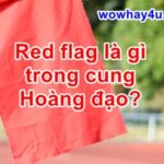 Red flag là gì trong cung Hoàng đạo? Đúng nhất