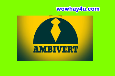 Ambivert là gì? Điều đặc biệt về Ambivert