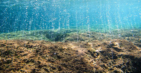 Axit hóa đại dương là gì? Điều đáng sợ chưa ai biết