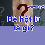 Bé hột lu là gì? Đúng nhất