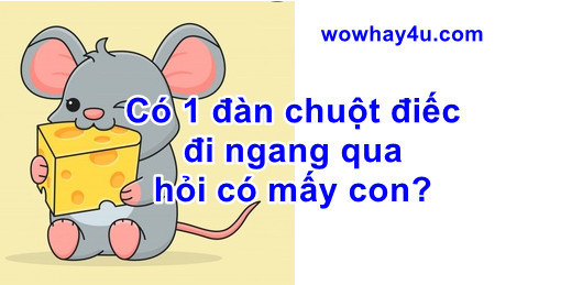 Có 1 đàn chuột điếc đi ngang qua hỏi có mấy con? Đúng nhất