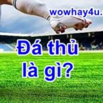 Đá thủ là gì? Bật mí điều bạn chưa biết về đá thủ