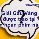 Giải Gấu Vàng được trao tại liên hoan phim nào? Đúng nhất