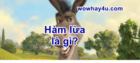 Hàm lừa là gì? Giải thích nghĩa hàm lừa đúng nhất