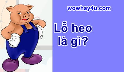 Lỗ heo là gì? Bỏ qua ngay giải thích lỗ heo nếu bạn chưa 18