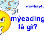 mỷeading là gì? Điều đặc biệt mỷeading chưa ai biết
