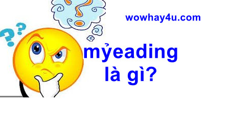mỷeading là gì? Điều đặc biệt mỷeading chưa ai biết