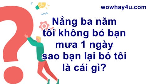 Nắng ba năm không bỏ bạn mưa 1 ngày bạn lại bỏ tôi là cái gì? Đúng nhất