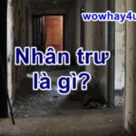 Nhân trư là gì? Điều đáng sợ nhân trư chưa ai biết