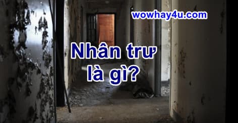 Nhân trư là gì? Điều đáng sợ nhân trư chưa ai biết