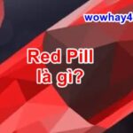 Redpill là gì? Bật mí bí mật Redpill chưa ai biết