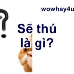 Sẽ thú là gì? Sẽ thú giống sẽ thù không? Đúng nhất