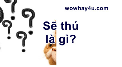Sẽ thú là gì? Sẽ thú giống sẽ thù không? Đúng nhất