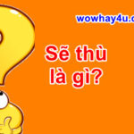 Sẽ thù là gì? Đúng nhất đọc ngay