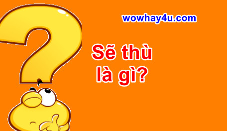 Sẽ thù là gì? Đúng nhất đọc ngay