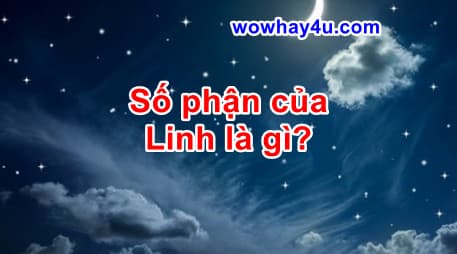 Số phận của Linh là gì? Đúng nhất đọc ngay