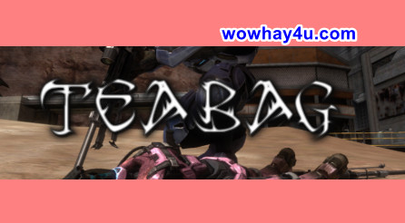 T bag là gì? Teabag là gì? Đúng nhất