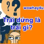 Trái dứng là trái gì? Đúng nhất nè