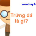 Trứng dá là gì? Đúng nhất