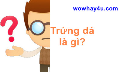 Trứng dá là gì? Đúng nhất