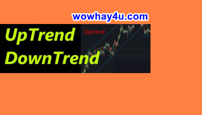 Uptrend là gì? Downtrend là gì? Đọc ngay