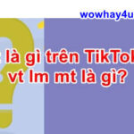 vt lm mt là gì? Đọc cái xỉu tức thì vì sốc