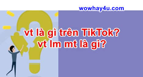 vt lm mt là gì? Đọc cái xỉu tức thì vì sốc